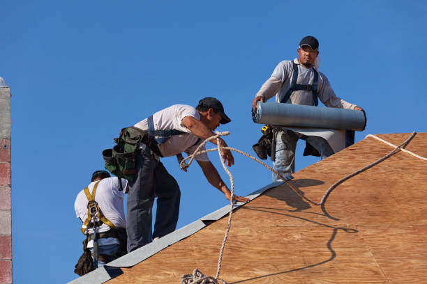 Best Storm Damage Roof Repair  in Brush, CO